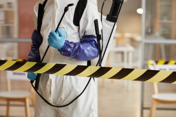 Professional Sewage Cleanup technician working in Clark, NJ